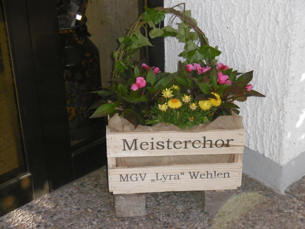 Haus Hochwaldhoehe Morbach Exterior photo